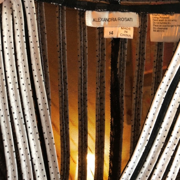 ALEXANDRA ROSATI - L Sz 14 black sheer/white ribbon zip top. GREAT CONDITION! - Picture 5 of 14